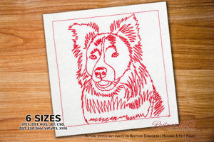 Border Collie Portrait
