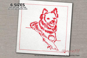 American Eskimo Dog with Ball