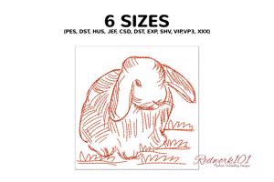 Rabbit on Grass