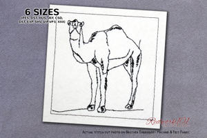 Camel Standing