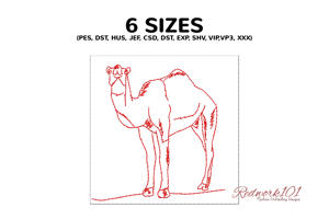 Camel Standing