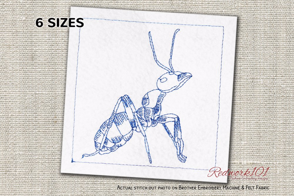Red Wood Ant