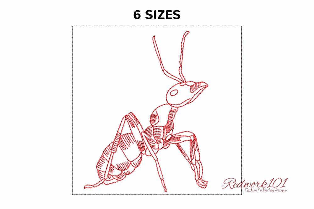 Red Wood Ant